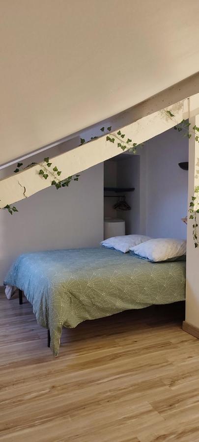 L'Appartement 7 - Centre Ville-Parking-Tv-Wifi Tarbes Kültér fotó